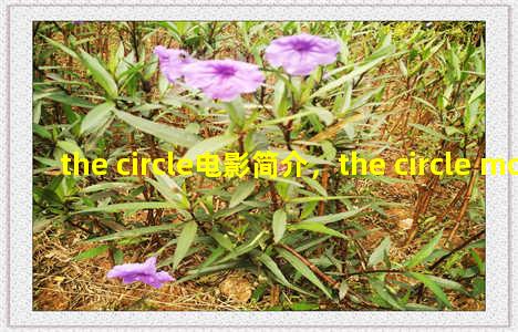 the circle电影简介，the circle movie